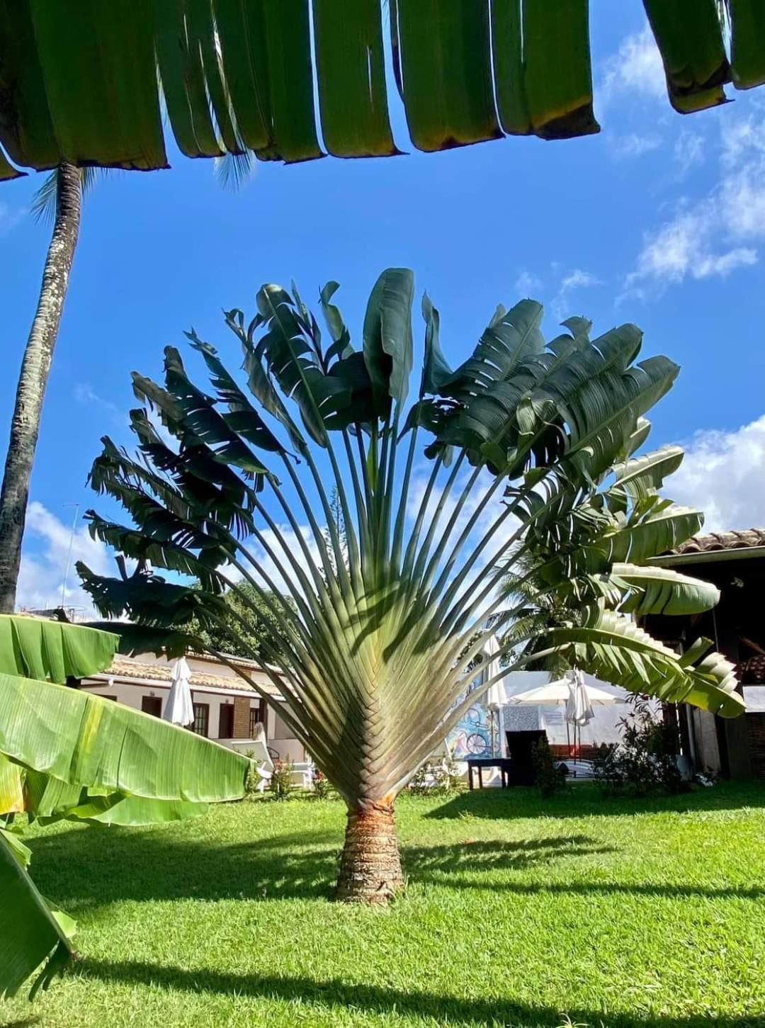 Salvador Paradise 3*